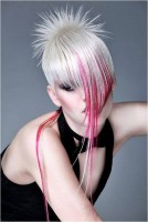 /album/galeria-de-fotos-pagina-inicial/a1622666-592250820861872-694624389-n-jpg/
